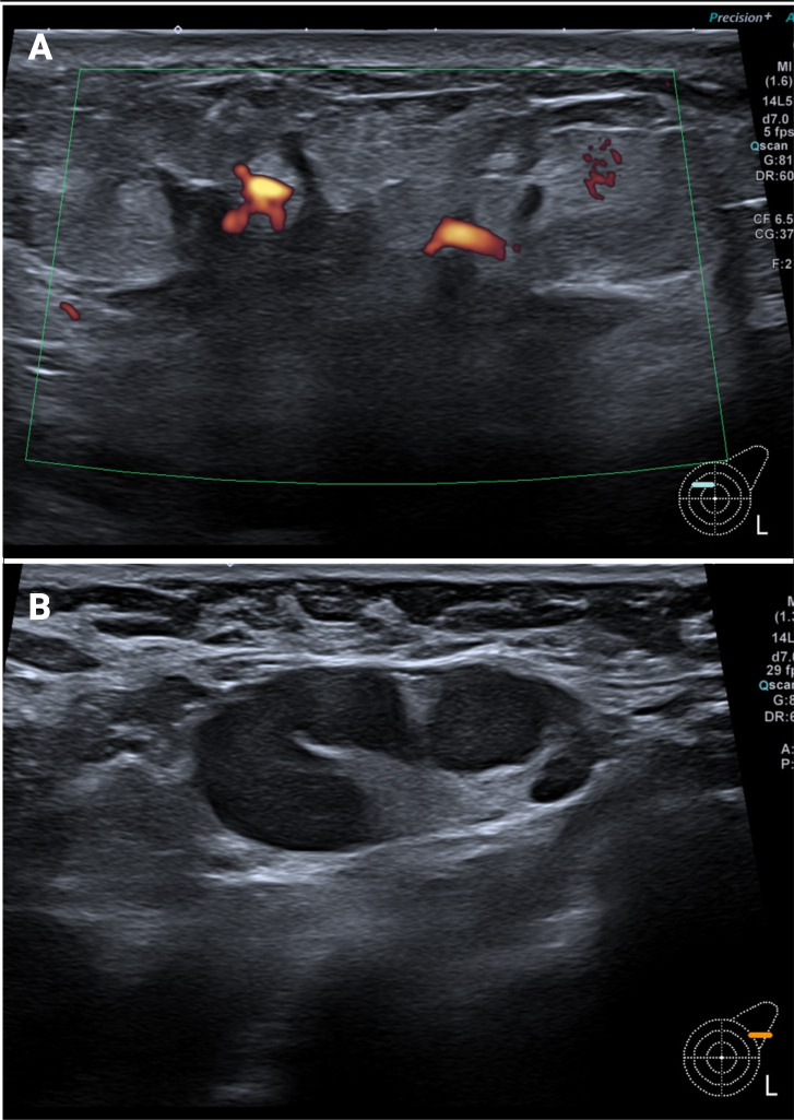 Figure 1