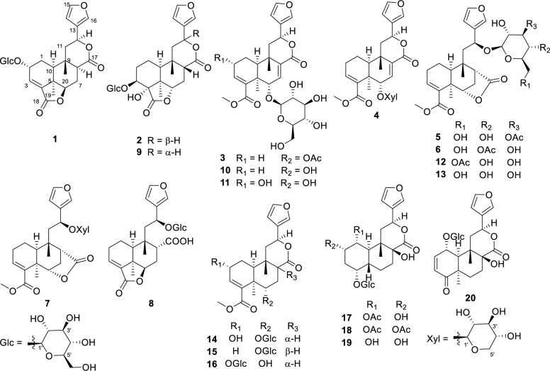 Figure 2