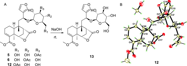Figure 6