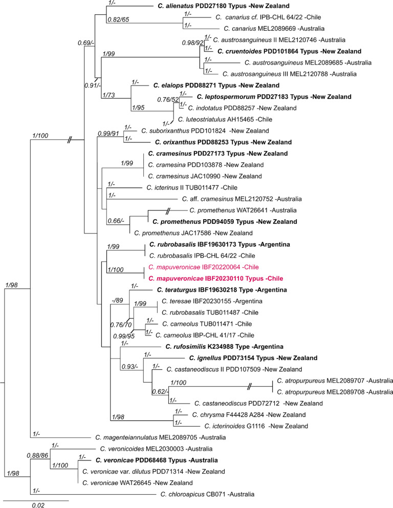 Figure 1
