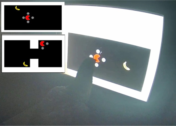 FIGURE 3