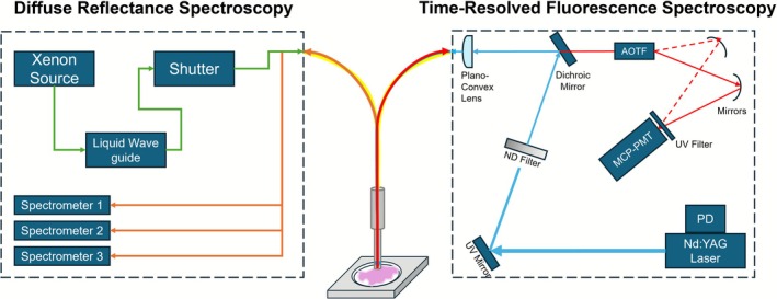 FIGURE 2