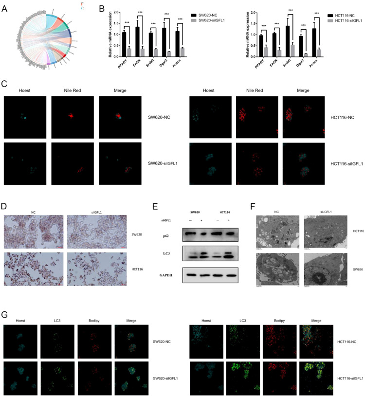 Figure 11