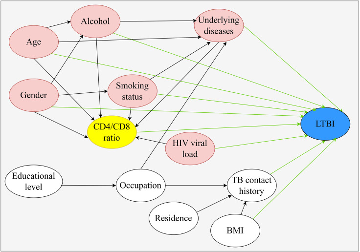 Figure 1