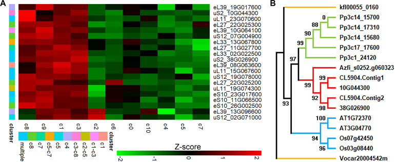Figure 4