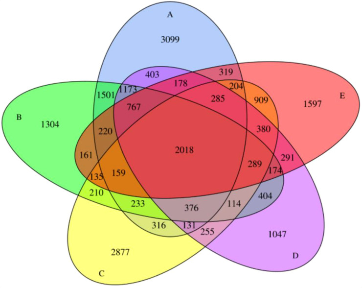 Figure 4