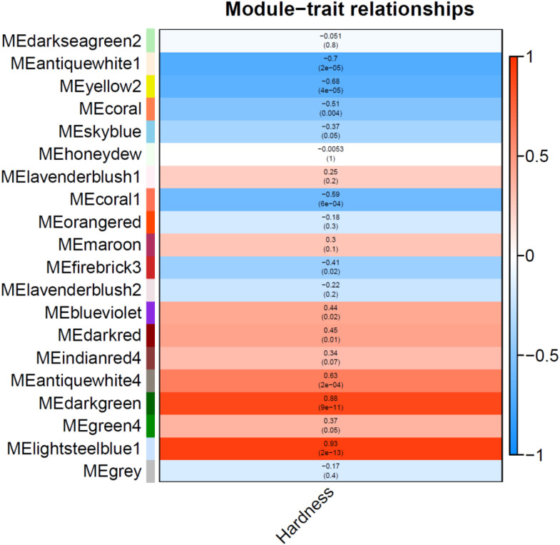 Figure 7