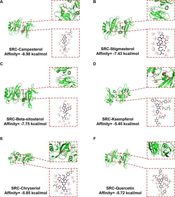 Figure 4
