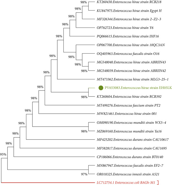 Figure 2