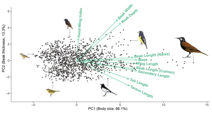 FIGURE 2