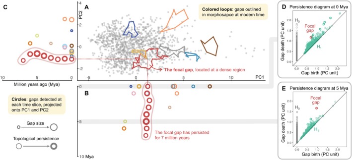 FIGURE 3