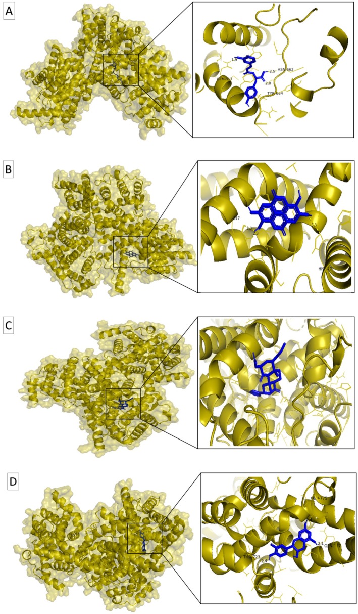 FIGURE 4