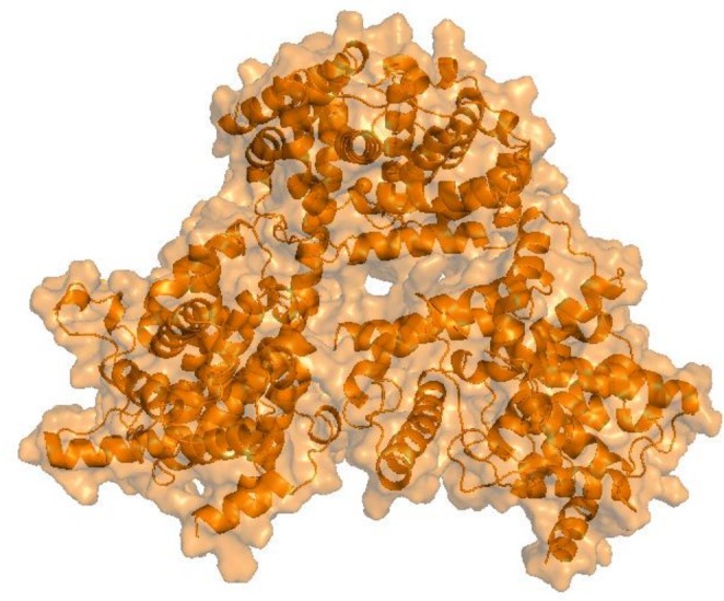 FIGURE 1