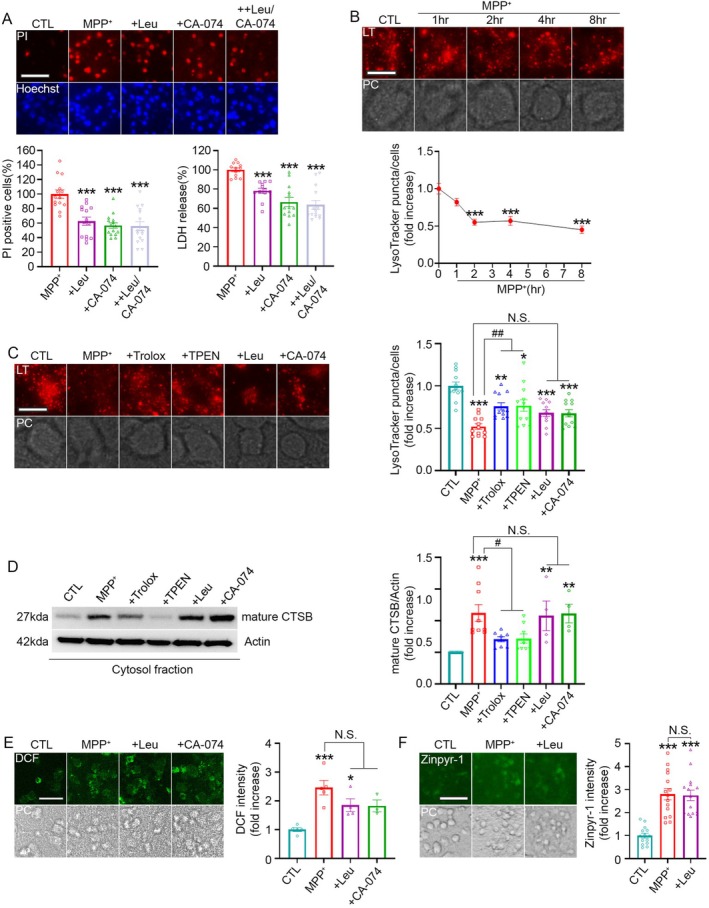 FIGURE 3