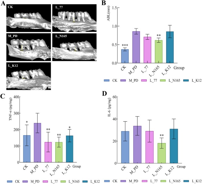 FIGURE 3