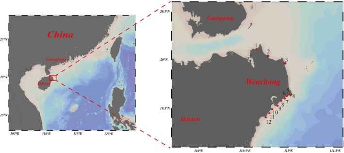 FIGURE 1