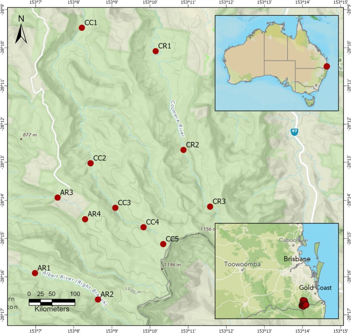FIGURE 1