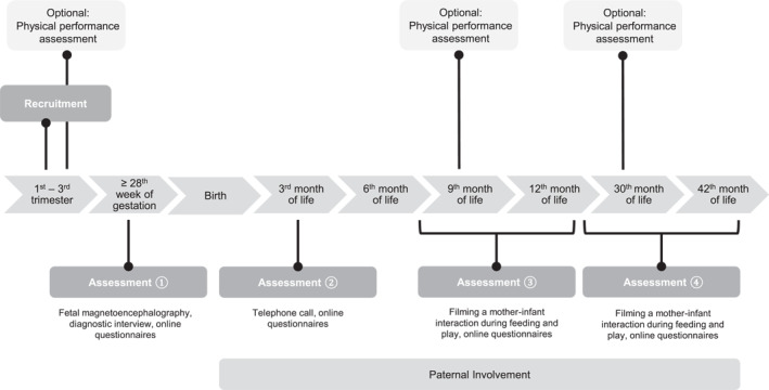 FIGURE 1
