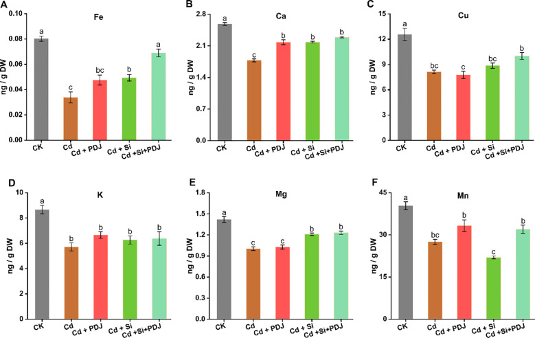 Figure 3