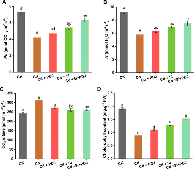 Figure 4