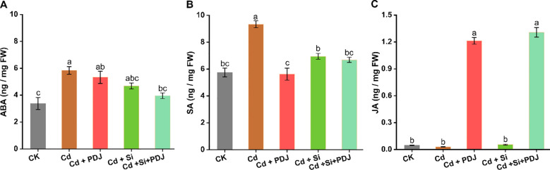 Figure 7