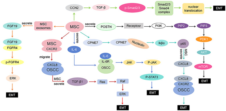 Figure 6