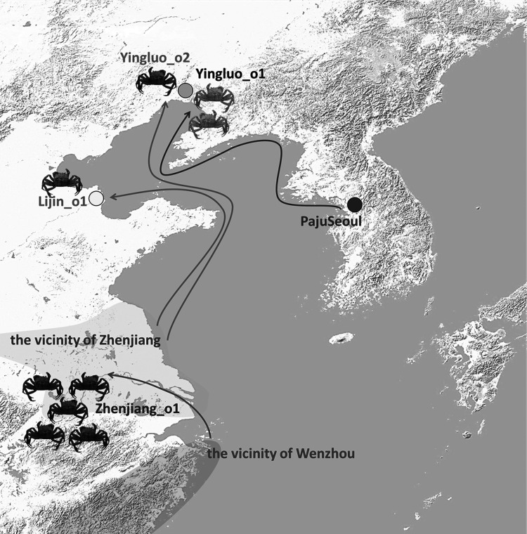 Figure 14