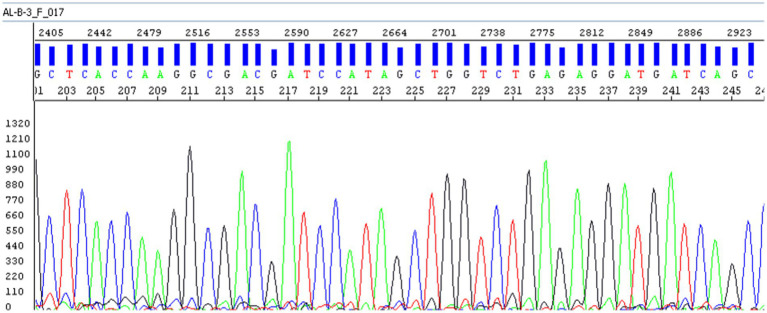 Figure 4
