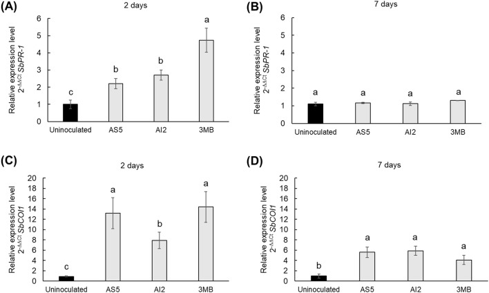 Figure 4
