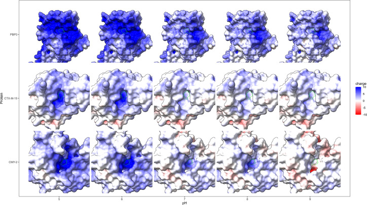 Fig 7