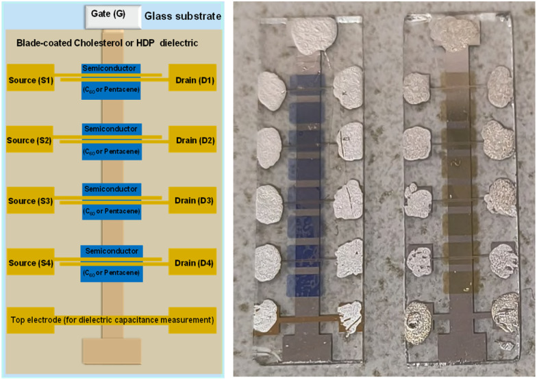 Fig. 9