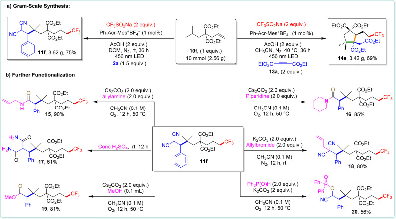 Scheme 7