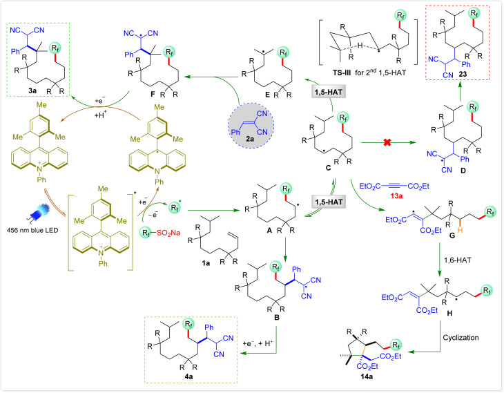 Scheme 9
