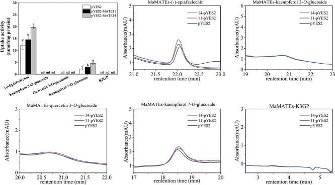 Figure 5
