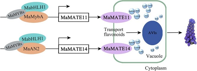 Figure 9