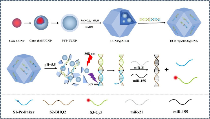 Scheme 1