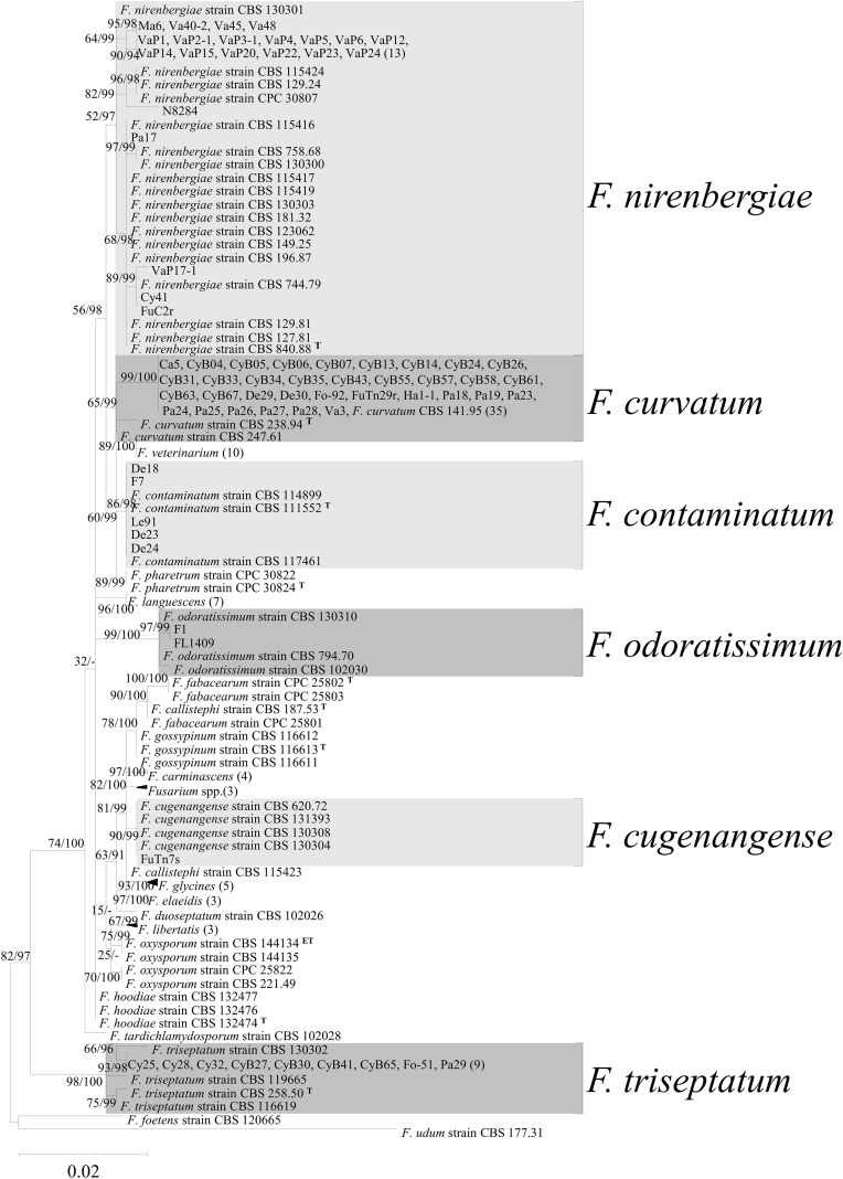 Figure 3