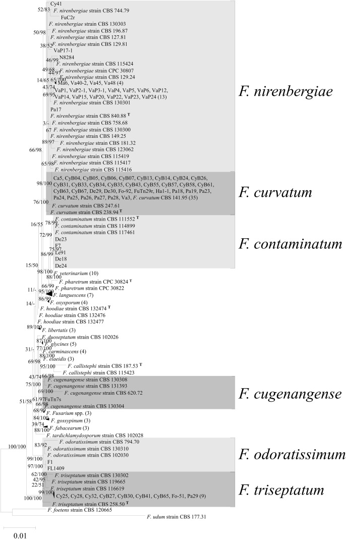 Figure 4