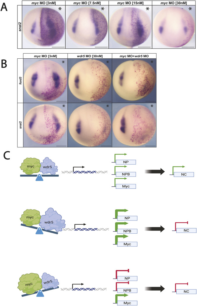 Fig. 7