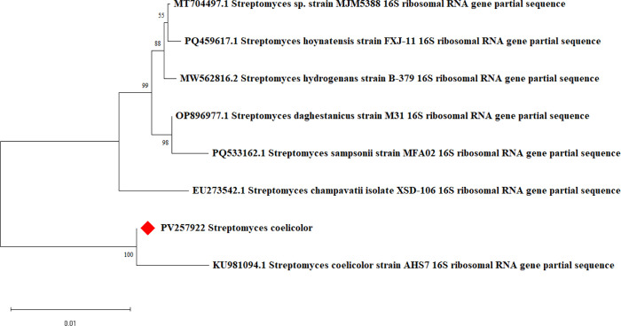 Fig 1