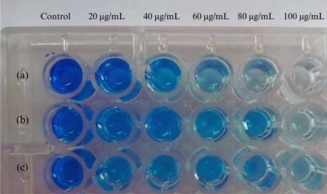 Fig 8