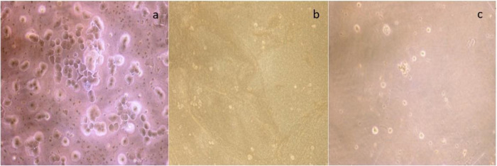 Fig 9