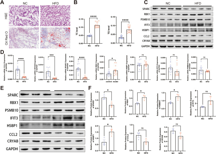 Fig 10
