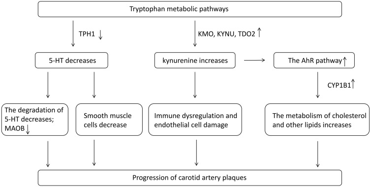 Fig 6