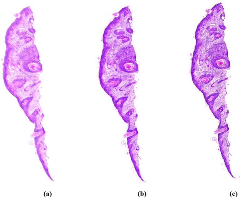 Fig 4