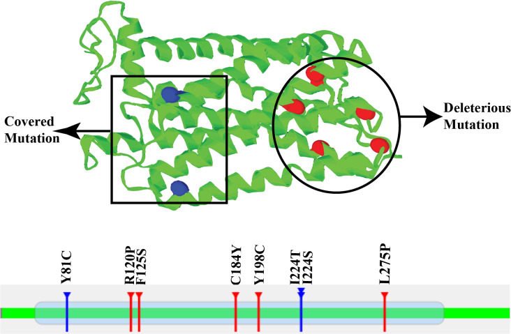 Fig 1