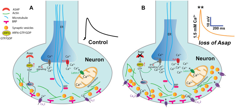 Fig 10