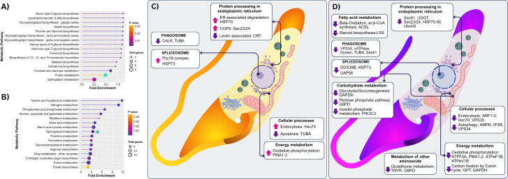 Fig 4