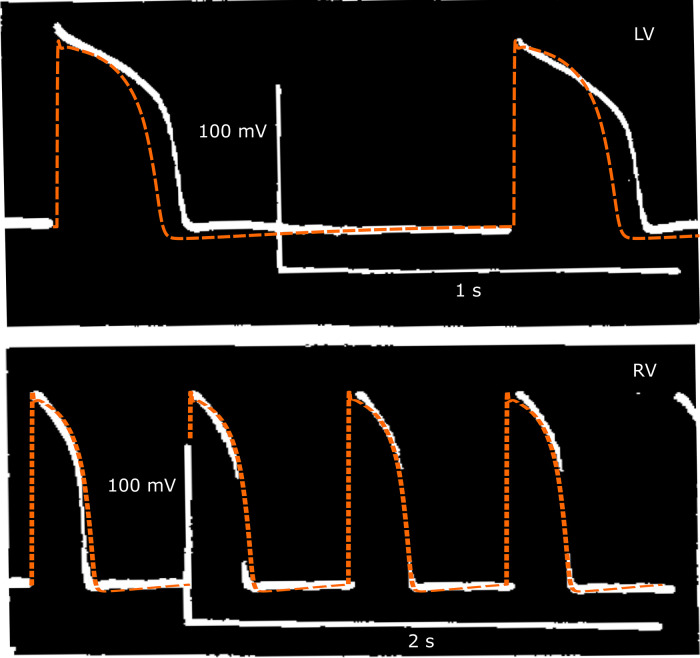 Fig 4