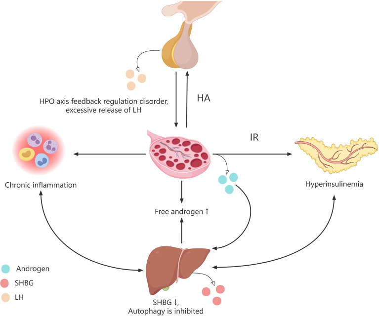 Figure 1